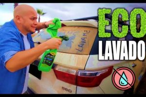 Eco lavado de autos