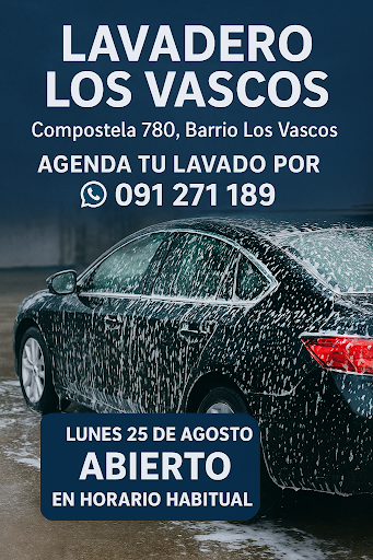 Lavadero LOS VASCOS