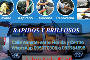 Lavaderos de Autos en Santa Lucía, Uruguay: Los Mejores Servicios de Limpieza para tu Vehículo 4 Lavaderos de Autos en Santa Lucía, Uruguay: Los Mejores Servicios de Limpieza para tu Vehículo