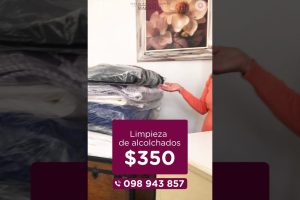 Tintorería y lavadero Magnolia