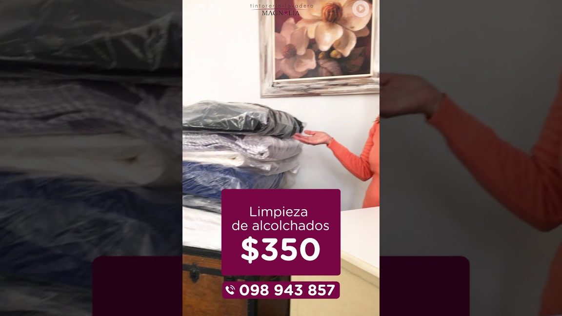tintoreria y lavadero magnolia